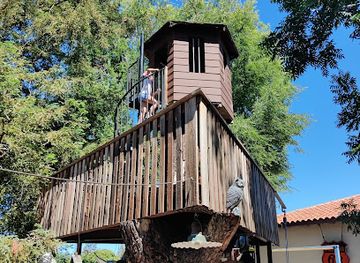 california/campbell/landmark/tortoise-ranch