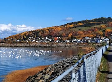 canada/saguenay-lac-saint-jean/landmark/musee-du-fjord