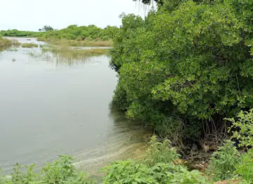 Réserve écologique expérimentale de M'bour