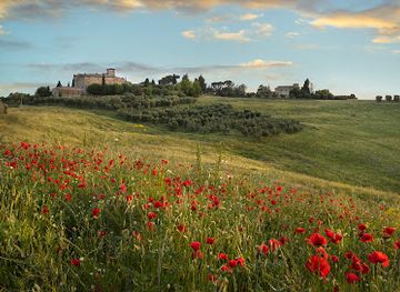 italy/val-d-orcia/landmark/castello-di-cosona