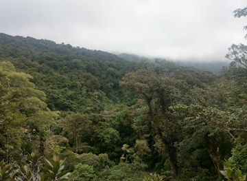 costa-rica/monteverde-cloud-forest-biological-reserve/landmark/parqueo-reserva-monteverde-cloud-forest