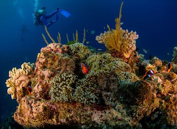 australia/ningaloo-reef/landmark/reef-encounter