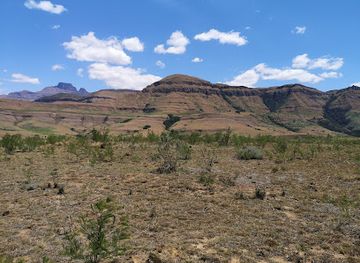 south-africa/drakensberg-mountains/landmark/drakensberg-canopy-tour