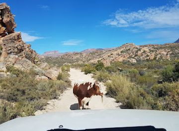 south-africa/cederberg-mountains/landmark/cederberg-park