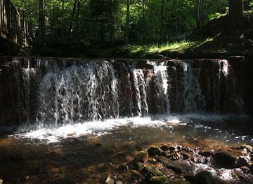 latvia/gauja-river/landmark/vienkocu-parks
