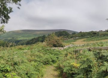 isle-of-man/laxey/landmark/the-laxey-plantation