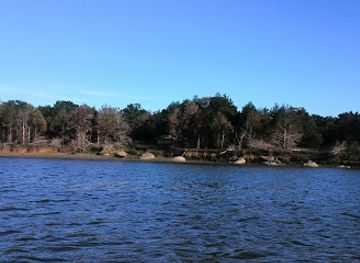 oklahoma/lake-texoma/landmark/flowing-wells-resort-marina