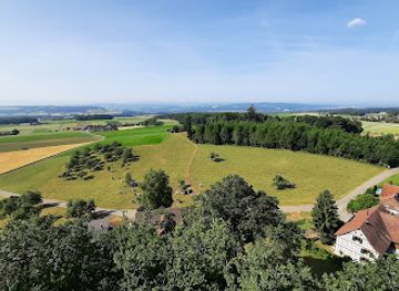 switzerland/thurgau/landmark/napoleonturm-hohenrain