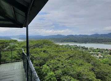 panama/colon/landmark/gamboa-rainforest-resort-butterfly-garden-and-frog-exibit