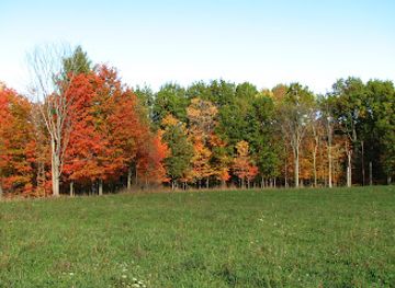 colorado/durango/landmark/durangolivecam