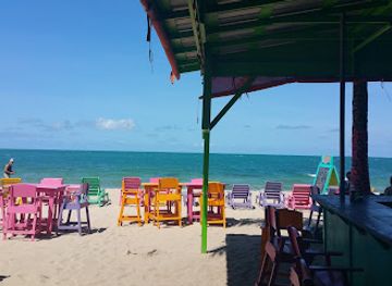 belize/placencia/landmark/barefoot-beach-bar
