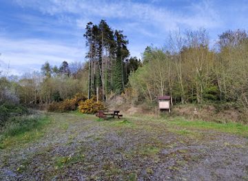 ireland/county-kildare/landmark/kildoon-woods