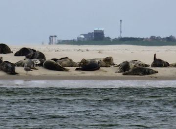 netherlands/wadden-islands/landmark/waddenexplorer