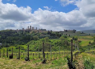 italy/valdarno/landmark/italy-on-a-budget-tours