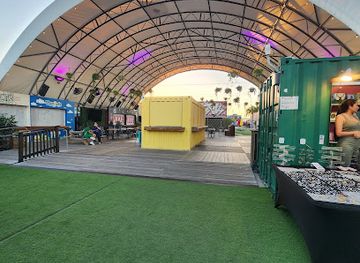 florida/miami/wynwood/landmark/wynwood-street-art-walking-tour