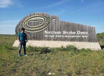 canada/prairies/landmark/narcisse-snake-dens
