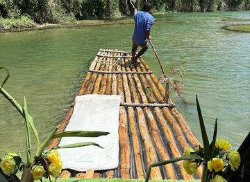 jamaica/great-morass/landmark/tours-in-jamaica