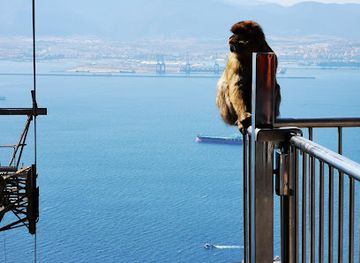gibraltar/eastern-beach/landmark/the-royal-calpe