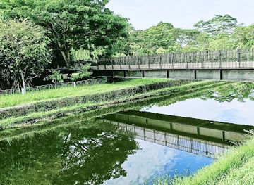singapore/yishun/landmark/springleaf-nature-park