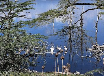 kenya/nairobi/landmark/rustic-nature-tours