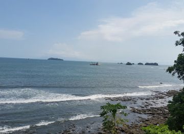 cameroon/tiko-beach/landmark/limbe-botanic-garden