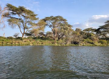 kenya/naivasha/landmark/lake-naivasha