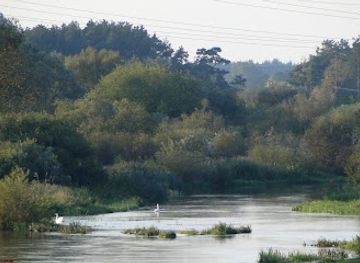 poland/warta-mouth-national-park/landmark/warta
