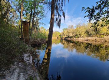 florida/suwannee-river/landmark/suwannee-springs