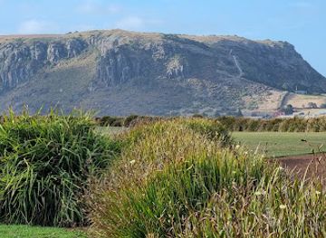 australia/high-country/landmark/highfield-historic-site