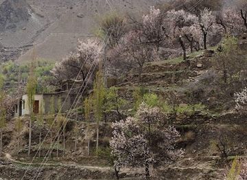 pakistan/baltistan/landmark/northern-pakistan