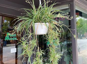 illinois/champaign/landmark/plant-mode