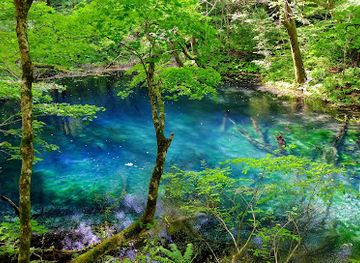 japan/chikuzen/landmark/wakitsubo-no-ike