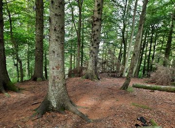 isle-of-man/laxey/landmark/axnfell-plantation