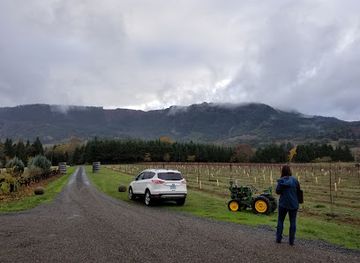 california/lodi/landmark/van-ruiten-family-winery
