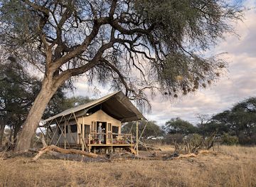 zimbabwe/hwange/landmark/somalisa-expeditions