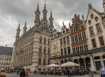 belgium/leuven/landmark/historic-leuven-town-hall