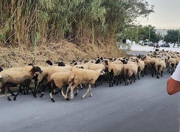 greece/chania/platanias/landmark/the-little-fun-train-ideal-beach-hotel-kiosk