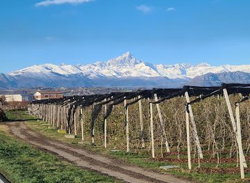 italy/val-di-susa/landmark/monviso