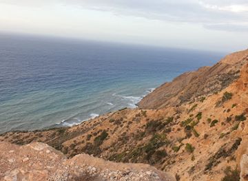 algeria/saoura-valley/landmark/canastel-forest