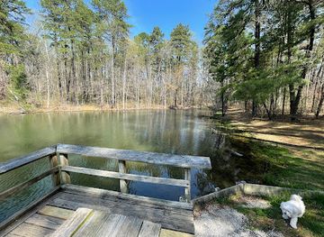 indiana/hoosier-national-forest/landmark/martin-state-forest