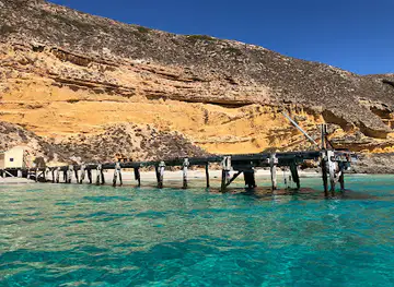 Marion Bay Ocean Safari