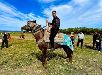 tunisia/el-haouaria/landmark/mohamed-souayeh