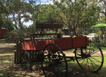 texas/south-texas/landmark/historic-downtown-helotes