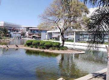 chile/los-rios-region/landmark/sky-costanera