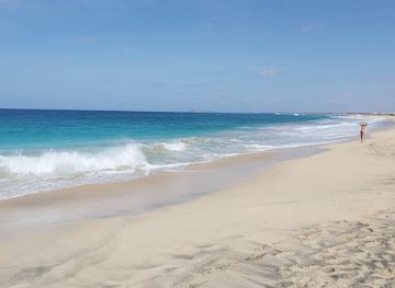 cabo-verde/praia-de-carlota/landmark/projeto-biodiversidade