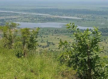malawi/chinteche/landmark/dedza-salima-forest-reserve