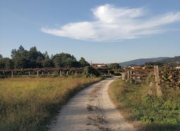 portugal/ponte-de-lima/landmark/caminho-portugues-de-santiago-ponte-de-lima