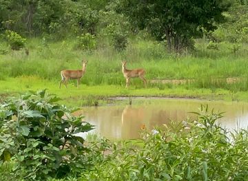 zambia/lusaka-national-park/landmark/lusaka-national-park