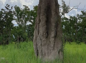 australia/litchfield-national-park/landmark/nt-adventure-park