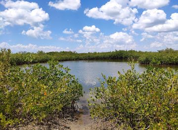florida/sun-coast/landmark/terra-ceia-preserve-state-park